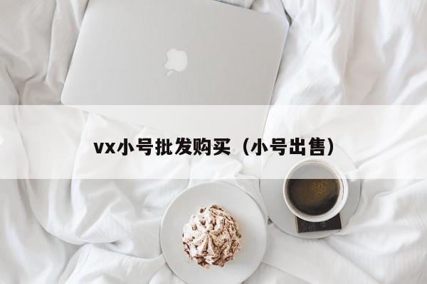 vx小号批发购买（小号出售）