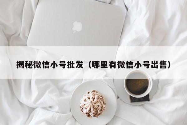 揭秘微信小号批发（哪里有微信小号出售）