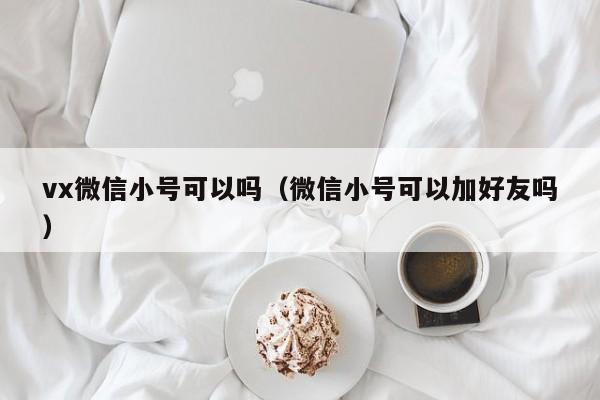 vx微信小号可以吗（微信小号可以加好友吗）