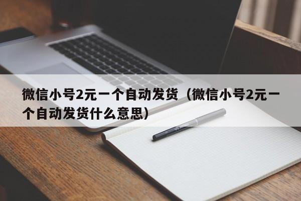 微信小号2元一个自动发货（微信小号2元一个自动发货什么意思）