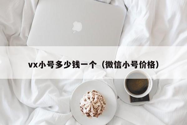vx小号多少钱一个（微信小号价格）