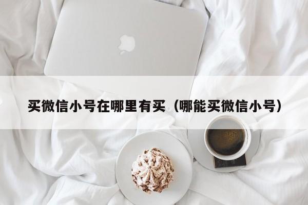 买微信小号在哪里有买（哪能买微信小号）