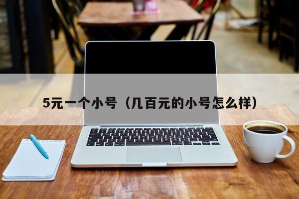 5元一个小号（几百元的小号怎么样）
