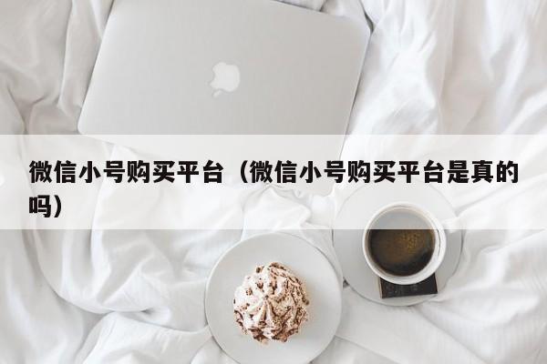 微信小号购买平台（微信小号购买平台是真的吗）