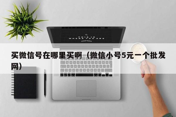 买微信号在哪里买啊（微信小号5元一个批发网）