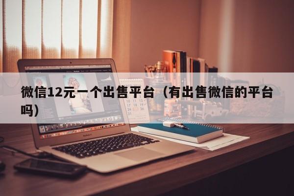 微信12元一个出售平台（有出售微信的平台吗）